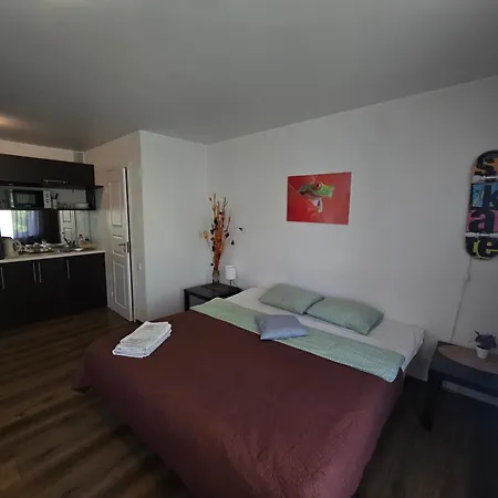 Z14 River Studio Apartment Klaipeda Exterior photo