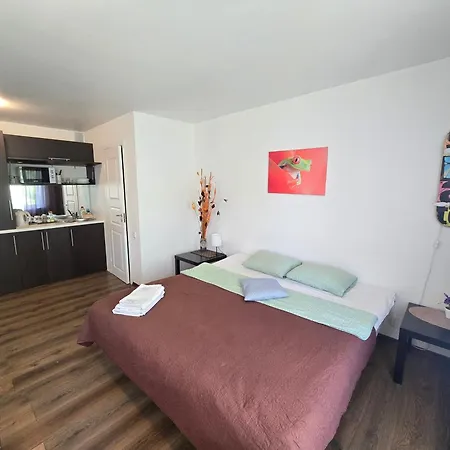 Z14 River Studio Apartment Klaipeda Exterior photo