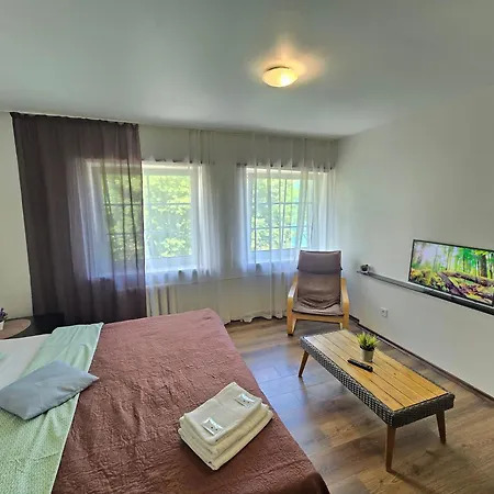 Z14 River Studio Apartment Klaipeda Exterior photo