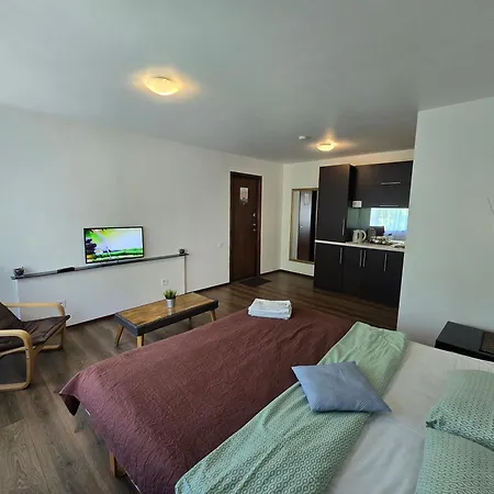 Z14 River Studio Apartment Klaipeda Exterior photo