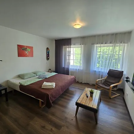 Z14 River Studio Apartment Klaipeda Exterior photo