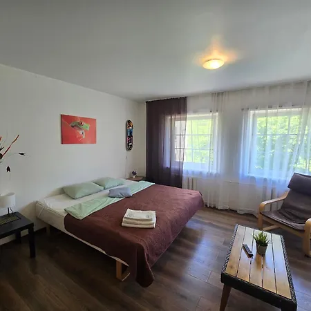 Z14 River Studio Apartment Klaipeda Exterior photo