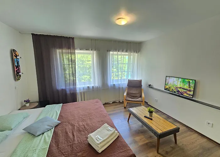 Z14 River Studio Apartment